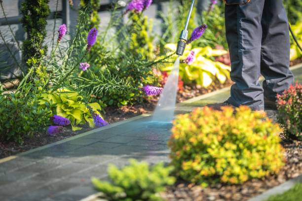 Reliable Provo, UT  Pressure Washing Services Solutions