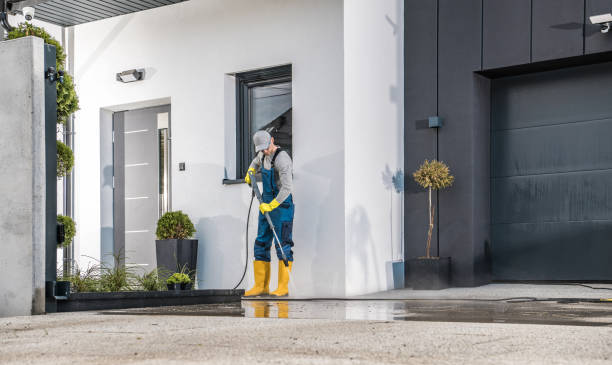 Best Soft Washing  in Provo, UT